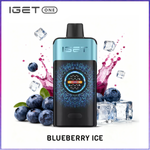 IGET One Blueberry Ice 12000 puffs